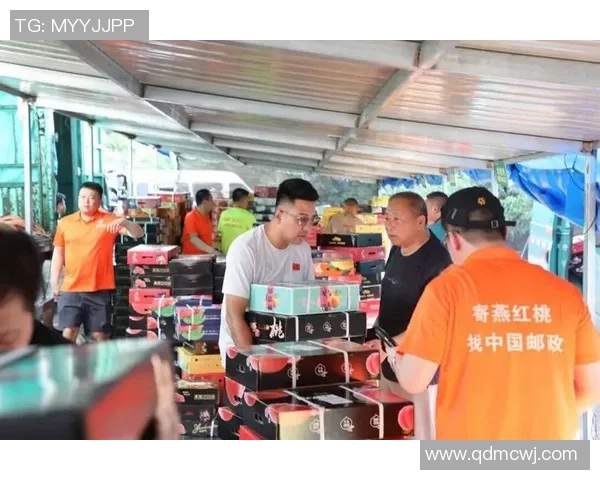 红桃国际引领行业新标准打造超凡品质与服务体验