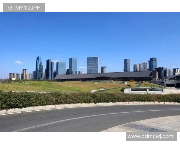 携手豪门国际共创辉煌未来迈向全球精英圈层的崭新篇章