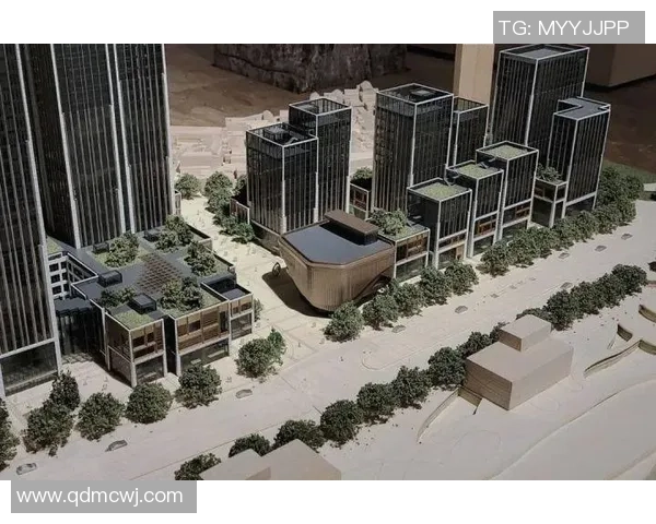 巅峰国际社区建设成果展示与未来发展愿景的深度探讨与交流活动