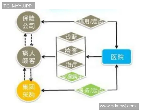 星空娱乐版权管理方案的创新与实施路径探讨与分析