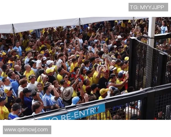 社交媒体热议世界杯话题盘点与分析探讨赛事背后的文化与情感